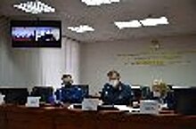 Уполномоченный по правам человека в Новосибирской области Нина Шалабаева провела совместный приём осуждённых граждан по видеоконференцсвязи
