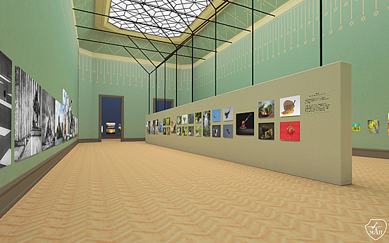 В МАИ создали виртуальную галерею