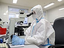 "Альфа, бета, гамма, дельта, йота": вспоминаем эволюцию штаммов коронавируса