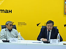 Фото с видеомоста о психическом здоровье