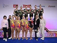 Омские «художницы» взяли 2 медали финала Кубка сильнейших