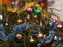 Россиян предупредили о подорожании новогодних елок