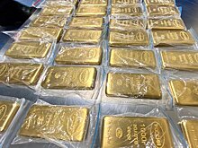 Таможенники во Внуково пресекли контрабанду 225 кг золота