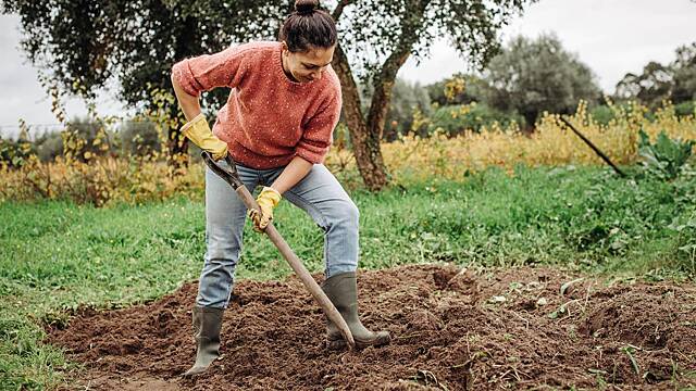 Лунный посевной календарь на октябрь 2025: благоприятные и неудачные дни