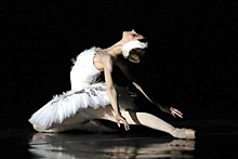 Ростов-на-Дону примет V Международный фестиваль балета имени Ольги Спесивцевой