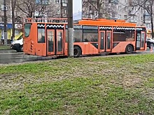 Нижегородка пострадала, пытаясь попасть в троллейбус