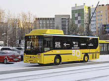 Ноябрян привлекли к оценке работы городского транспорта