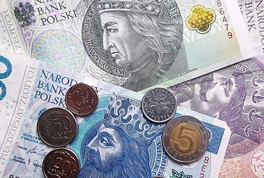 Польский злотый затмил конкурентов