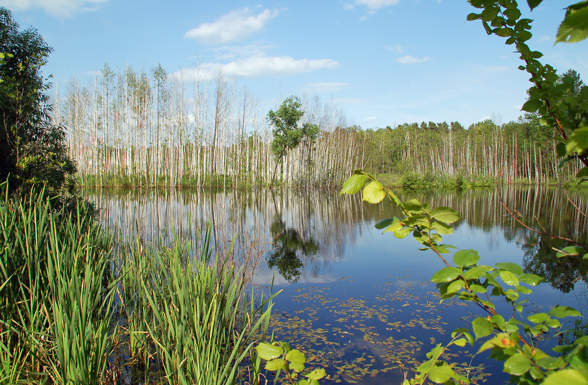 Воронеж, Воронежская область, Россия, Европа