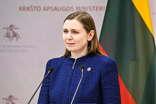 В Минобороны Литвы прокомментировали появление дронов над Польшей