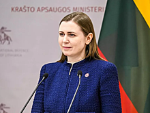 В Минобороны Литвы прокомментировали появление дронов над Польшей