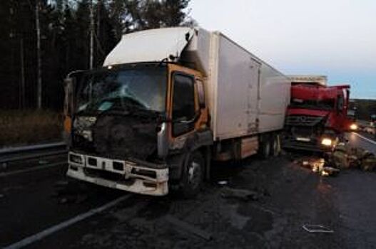 Во Владимирской области на М-7 случилось два ДТП с грузовиками
