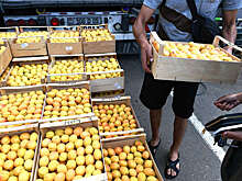 Диетолог Гридина: пациентам с сахарным диабетом и избыточной массой тела стоит сократить потребление абрикосов