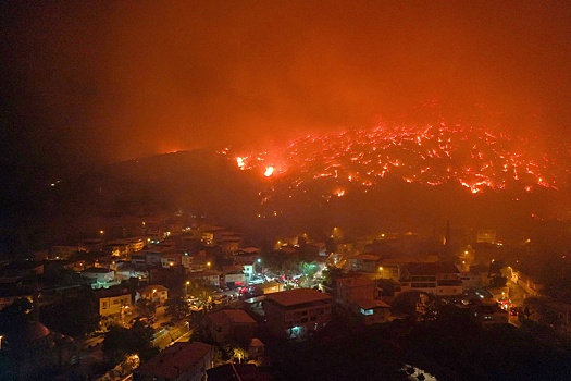 Лесные пожары в Турции начались из-за жары до 50 градусов