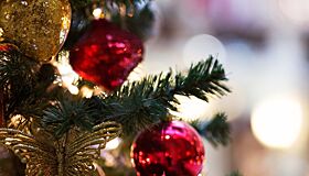 Ветер опрокинул рождественскую елку рядом с Белым домом