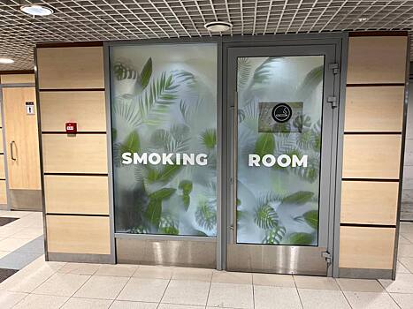 Аэропорт Домодедово возобновил услугу для пассажиров внутренних рейсов