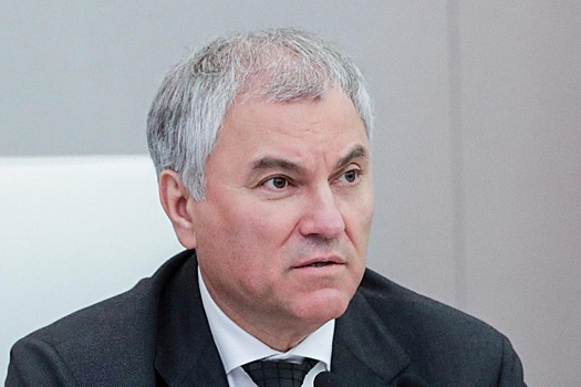 Володин поручил комитету ГД доложить о ситуации с «Почтой России»