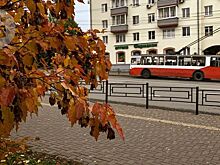 В Ижевске из-за повреждения контактной сети нет движения троллейбусов по Пушкинской