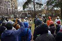 По защите Челябинского городского бора создана рабочая группа