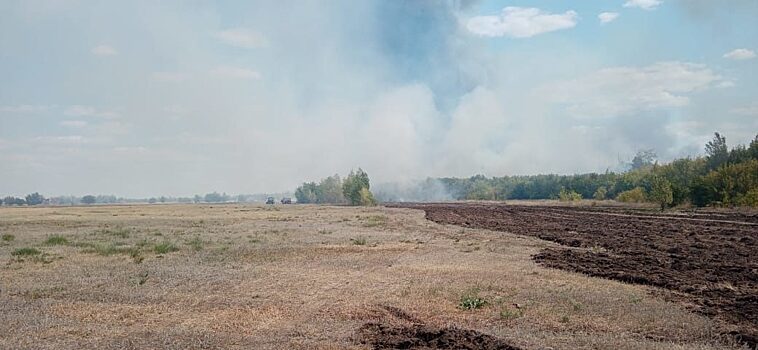 В Оренбургской области природный пожар разгорелся под Соль-Илецком