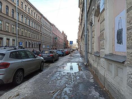 Более 5 тысяч жителей Адмиралтейского района Петербурга пока не получили парковочные разрешения