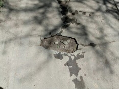 Работы по озеленению двора прошли в районе