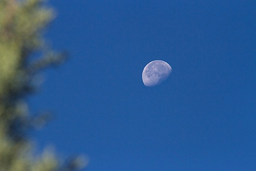 Что нельзя делать в Афанасьев день 18 июля: приметы