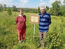 Житель Курской области подарил супруге на день рождения рощу