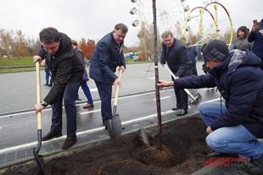 Реконструкцию набережной в Новосибирске завершили посадкой яблоневой аллеи