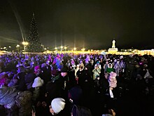 Губернатор попросил костромичей не праздновать Новый год с размахом во врем гибели людей