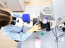 Найдена связь между болезнью печени и внезапной потерей слуха