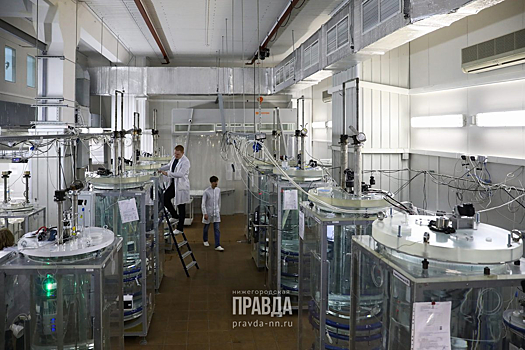 Российский научный фонд поддержал 12 проектов молодых ученых ИПФ РАН