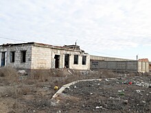Бездомных животных расселят по 7‑ми приютам