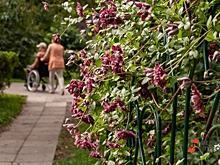 Названа услуга, которая силнее всего подорожала в Калининградской области в августе