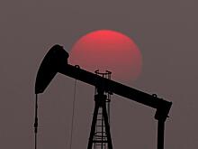 США повысили прогноз по цене нефти Brent в 2021 году