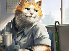 7 вещей, которые “на работе нельзя, а на удаленке можно”