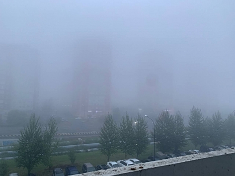 Москву окутал густой туман