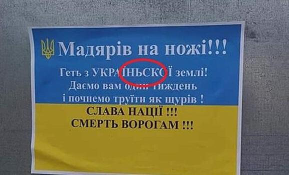 "В течение недели": венграм Украины угрожают массовой физической расправой