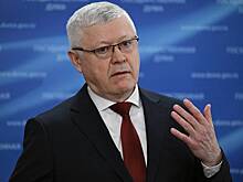 В Госдуме заявили о вербовке «Антивоенным комитетом» релокантов в антироссийскую сеть