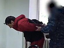 Защита пожизненно осужденного рыбинского маньяка направила жалобу на приговор
