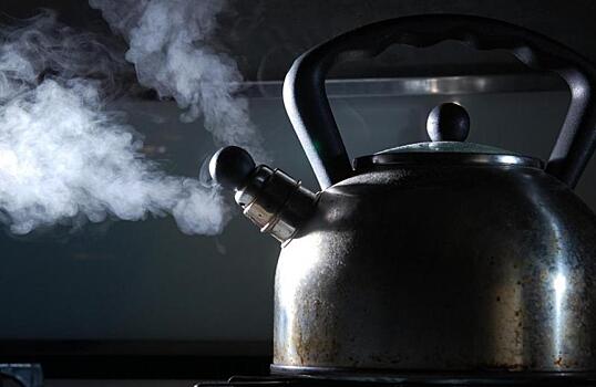 Ученые выяснили, как продлить жизнь при помощи чая