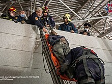 В аэропорту Внуково сняли забравшегося на 30-метровый козырек мужчину