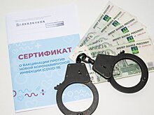 В Подмосковье арестовали восемь человек за подделку сертификатов о вакцинации