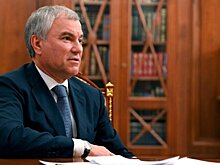 Володин предложил запросить у кабмина предложения по наведению порядка в сфере миграции