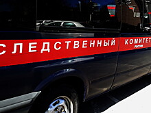 СК изучит дело об убийстве младенца врачами