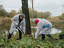 Московский НПЗ высадил в парке Капотни новые деревья