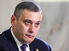 Хинштейн заявил о 10 уголовных делах, связанных с "Корпорацией развития Курской области"
