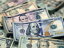 РБК: во II квартале доля расчетов в долларах и евро упала ниже 20%