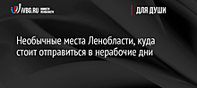 Необычные места Ленобласти, куда стоит отправиться в нерабочие дни