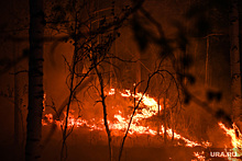 Из-за лесного пожара под Первоуральском эвакуируют людей. На место выехал замгубернатора